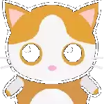 嘎查猫咪收藏家