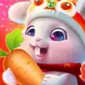 前兔似锦红包