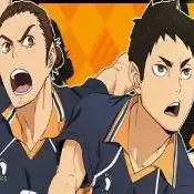 排球少年!! TOUCH THE DREAM