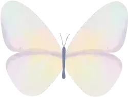 甜到失语！女明星和她的秘密好友约会大曝光 