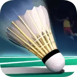 真实羽毛球
