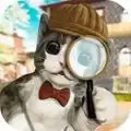 宝宝养猫乐园