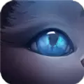 萌猫寻凶记