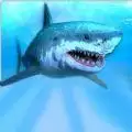 海上求生