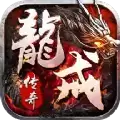 龙戒传奇