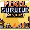 像素生存西部