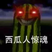 西瓜人派对