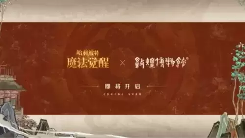 哈利波特：魔法觉醒1