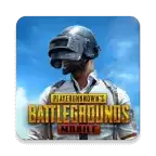 pubgmobile国际服