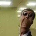 后室密室追逐