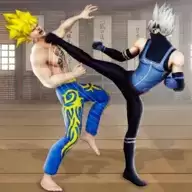 谁是功夫之王(Karate King)
