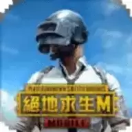 pubg国际服