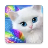 可爱的小猫