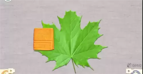 收纳物语树叶拓印怎么过4