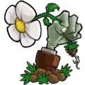 尔领尔亿植物大战僵尸