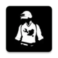 和平精英超广角软件