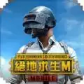pubg mobile绝地求生国际服2.6