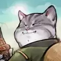 我的猫咪会功夫