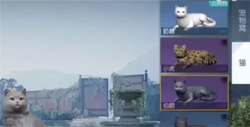 黎明觉醒宠物系统怎么解锁11