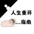 4399人生重开指南安装