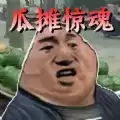 勇士冒险日记瓜摊惊魂