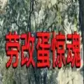 蛋仔派对劳改蛋惊魂3