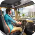 城市欧元卡车驾驶