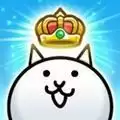战猫探索