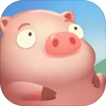 我的肉40块