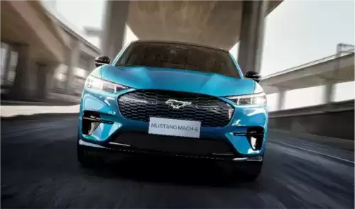 黎明觉醒：生机3