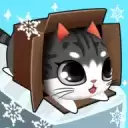 盒子里的猫