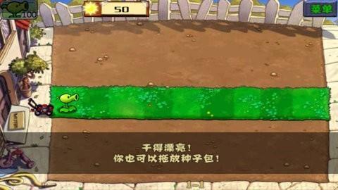 植物大战僵尸