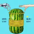 天天玩什么