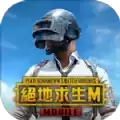 pubg国际服