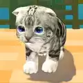 萌猫度假村