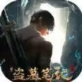 代号盗墓