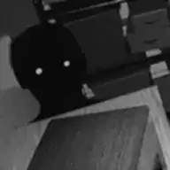 伪人观察