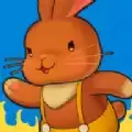 阳光小兔