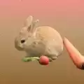 拼个胡萝卜
