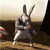 爱丽丝梦游仙境