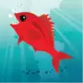 饥饿的小红鱼