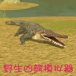 鳄鱼模拟器