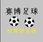 赛博足球世界冠军杯