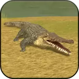 鳄鱼模拟器