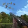 荒岛狙击真实模拟Wild Duck Hunting