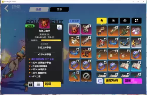 火炬之光无限猫女装备选什么2