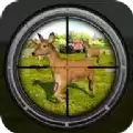 4x4狩猎动物模拟器游戏(4x4 Hunting Animal Simulator)