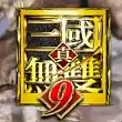 真三国无双9新武将