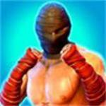 致命暗影格斗DeadlyShadowFight:ShadowFighting