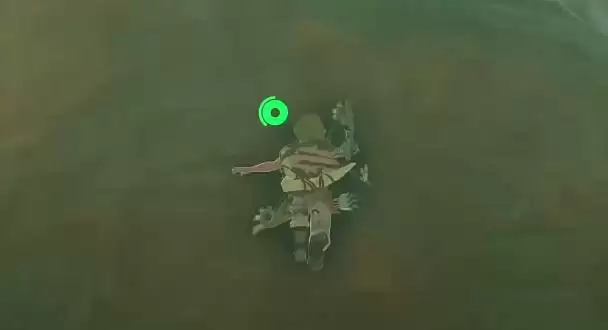 王国之泪格鲁德峡谷鸟望台开启攻略 格鲁德峡谷鸟望台开启方法[多图]图片3